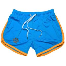 Men Gym Fitness Shorts Bodybuilding sports Jogging shorts Male 2022 Summer Cool Breathable Mesh casual men Shorts Sweatpants (Color: Sky blue yellow, size: L)