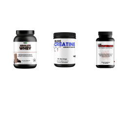 Anabolic Bundle Protein, Creatine Testosterone Booster (Protein: Absolute Whey Chocolate, Creatine and Testosteron: Creatine and Testosterone)