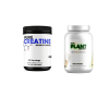 Creatine Bundle